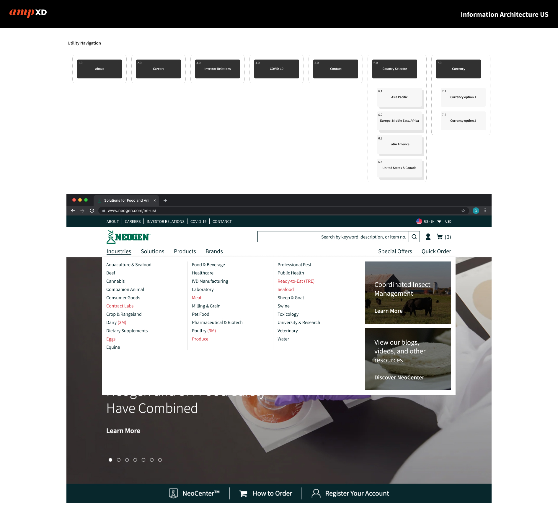 Information architecture sitemap